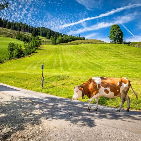 Vakantiehuis Bichl Sankt Johann im Pongau