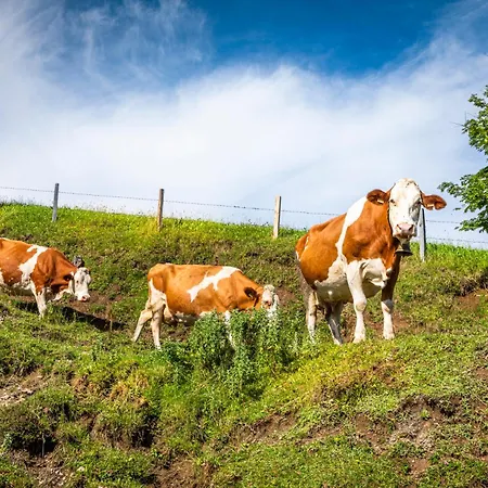 Сasa de vacaciones Bichl *