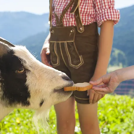 Vakantiehuis Bichl Sankt Johann im Pongau