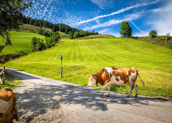 בית נופש Bichl סנט יוהן אים פונגאו