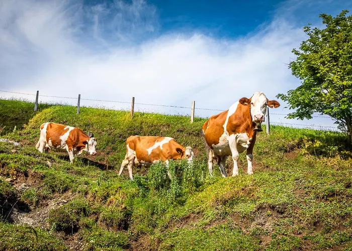 בית נופש Bichl *