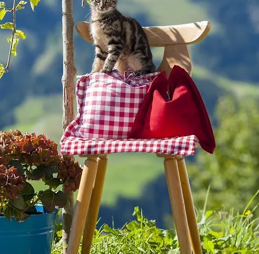 Bichl בית נופש