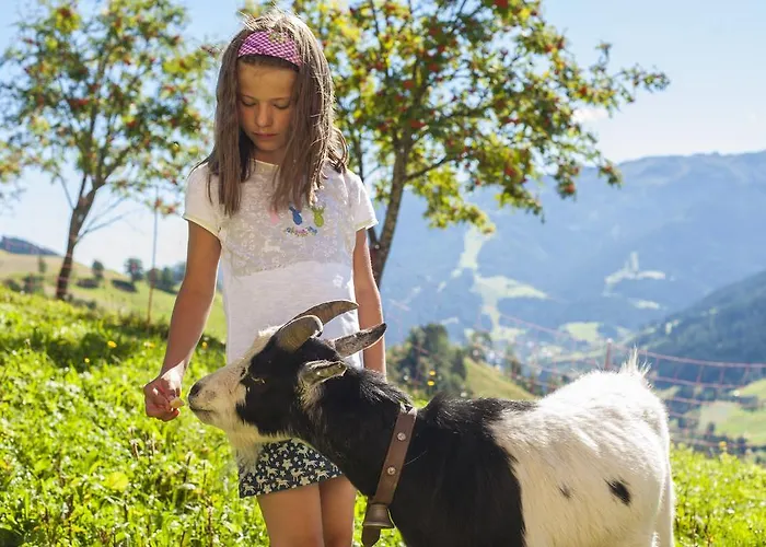 Bichl בית נופש *