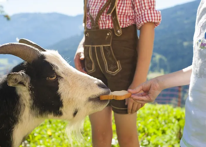 בית נופש Bichl סנט יוהן אים פונגאו