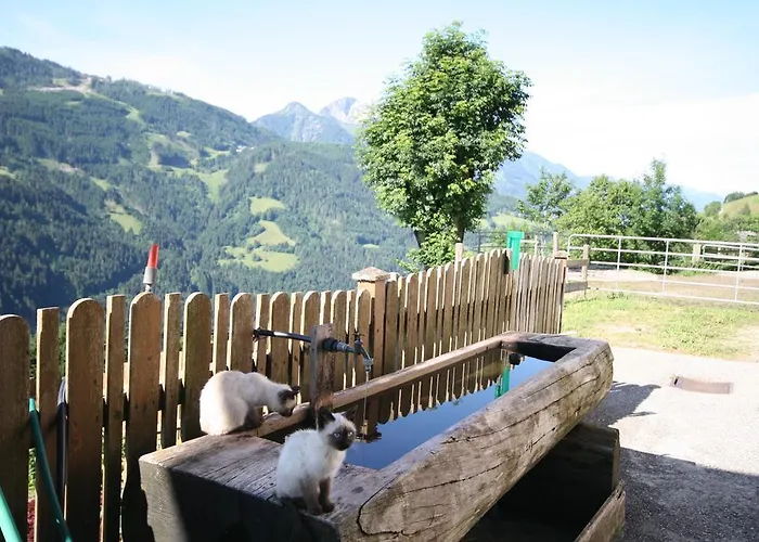 Dom wakacyjny Bichl *